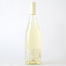 画像をギャラリービューアに読み込む, コヤマロ ケルナー【2023】