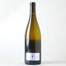 画像をギャラリービューアに読み込む, ヴィレヴォルテ【2023】