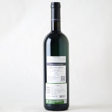 画像をギャラリービューアに読み込む, メッソリオ【2020】