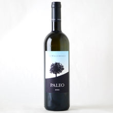 画像をギャラリービューアに読み込む, パレオ ビアンコ【2022】