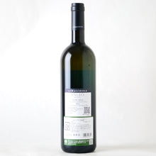 画像をギャラリービューアに読み込む, パレオ ビアンコ【2022】