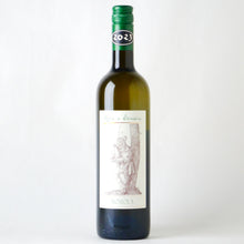 画像をギャラリービューアに読み込む, ノジオラ【2024】