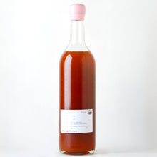 画像をギャラリービューアに読み込む, スカーレット ピーチアマーロ【2025】