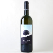 画像をギャラリービューアに読み込む, パレオ ビアンコ【2023】