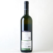 画像をギャラリービューアに読み込む, パレオ ビアンコ【2023】