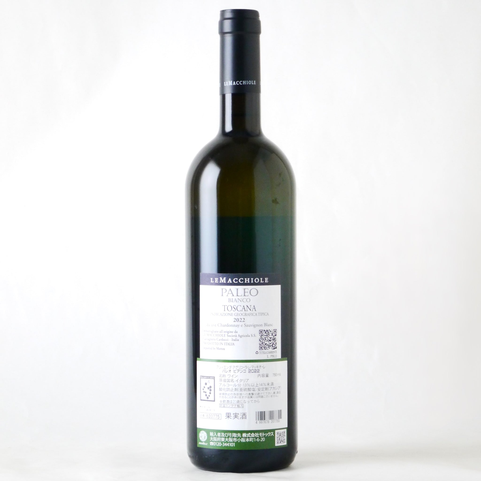 パレオ ビアンコ【2022】 – buzaemonオンラインストア